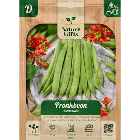 Pronkboon roodbloeiende 6st - afbeelding 1