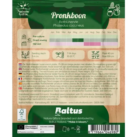 Pronkboon roodbloeiende 6st - afbeelding 2