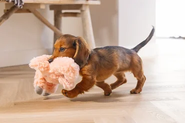 Pup knuffel flamino roze - afbeelding 2