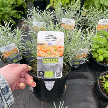Puur kruiden Kerrie