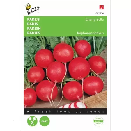 Radijs Cherry Belle - afbeelding 1