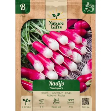 Radijs flamboyant 2 per 7m - afbeelding 1