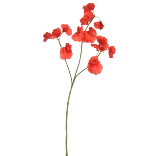 Reukerwtsteel l66cm rood