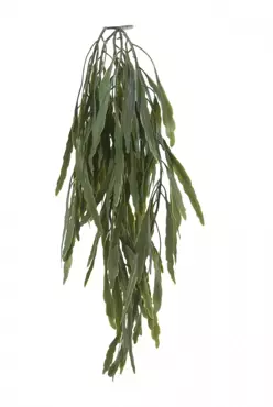 Kunstplant Rhipsalis l70cm groen header