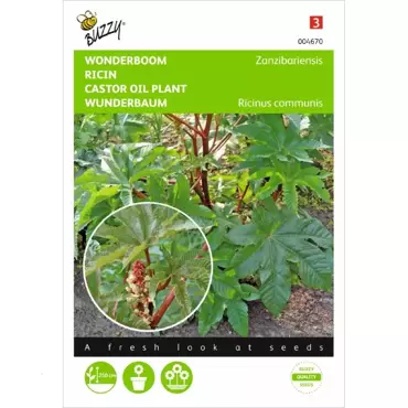 Ricinus, Wonderboom gemengd - afbeelding 1