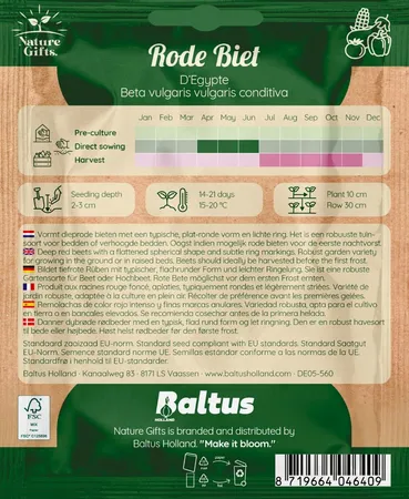 Rode biet egypte per 4m - afbeelding 2