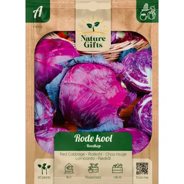 Rode kool roodkop 60st - afbeelding 1