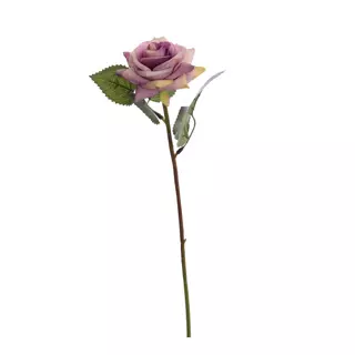 Roossteel l37cm lavendel