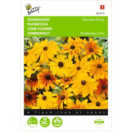 Rudbeckia, Zonnehoed Gloriosa Daisy - afbeelding 1