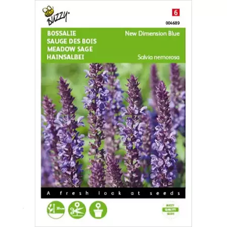 Salvia, Bossalie New Dimension Blue - afbeelding 1