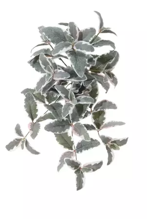 Kunstplant Salvia l50cm head wit roze