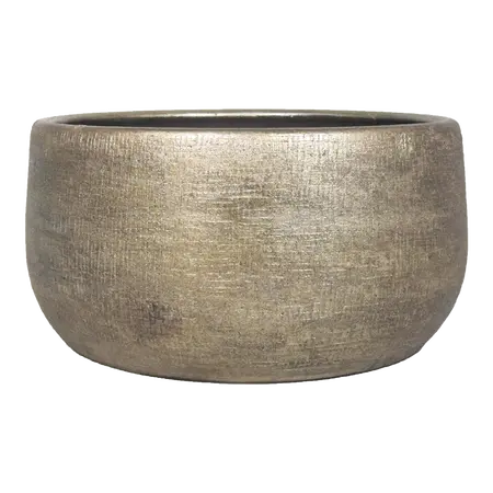 Schaal mira d29h14 industrieel goud