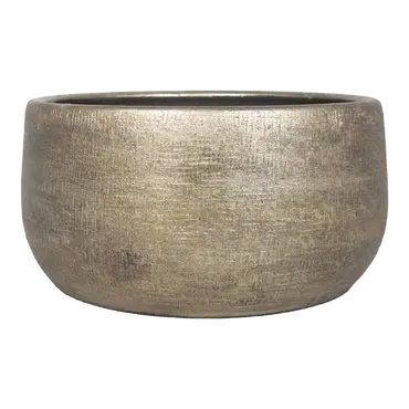 Schaal mira d29h14 industrieel goud