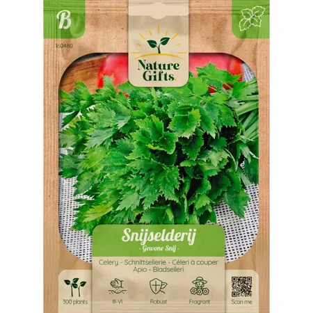 Selderij snijselderij gewone snij 300st - afbeelding 1