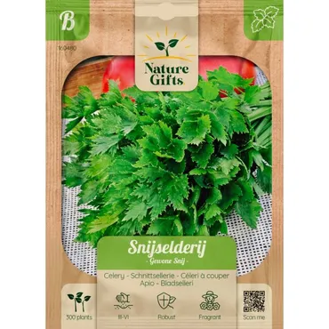 Selderij snijselderij gewone snij 300st - afbeelding 1