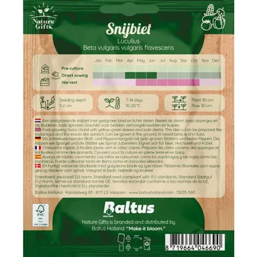 Snijbiet lucullus per 15m - afbeelding 2