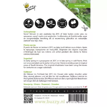 Stevia, Suikerplantje of Honingkruid - afbeelding 2