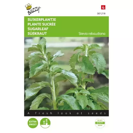 Stevia, Suikerplantje of Honingkruid - afbeelding 1