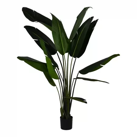 Kunstplant Strelitzia Nicolai in pot h220cm