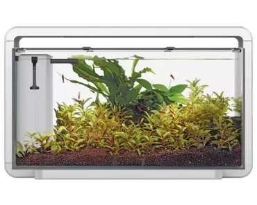 Superfish Home 30 aquarium wit - afbeelding 2