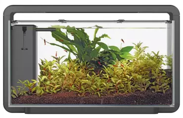 Superfish Home 30 aquarium zwart - afbeelding 2