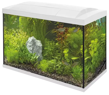 Superfish Start 100 tropical kit wit - afbeelding 2