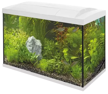 Superfish Start 100 tropical kit wit - afbeelding 2