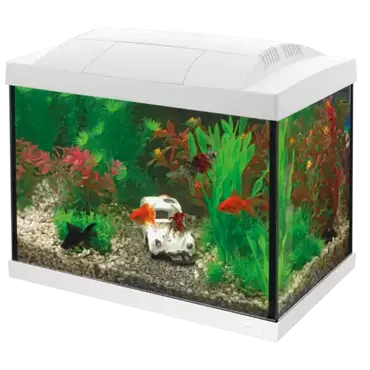 Superfish Start 20 goldfish kit wit - afbeelding 2