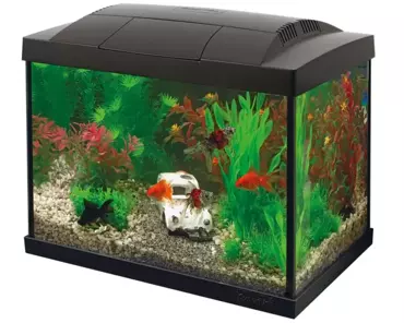 Superfish Start 20 goldfish kit zwart - afbeelding 2