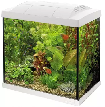 Superfish Start 30 tropical kit wit - afbeelding 2