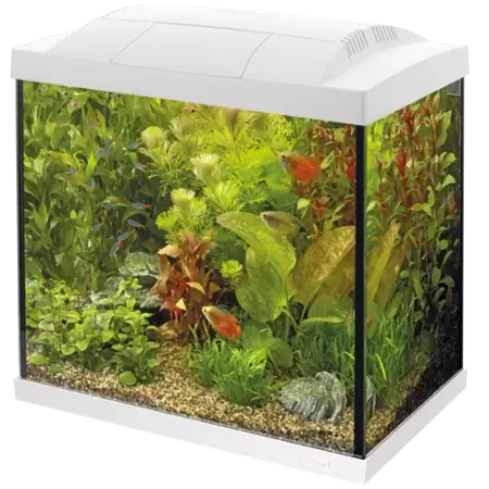 Superfish Start 50 tropical kit wit - afbeelding 2