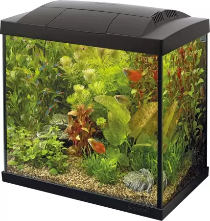 Superfish Start 50 tropical kit zwart - afbeelding 2