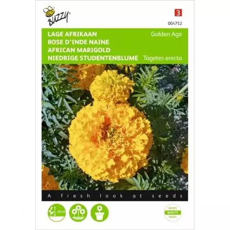 Tagetes, lage Afrikaan Golden Age - afbeelding 1