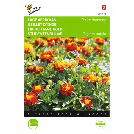 Tagetes, lage Afrikaan Petite Harmony - afbeelding 1