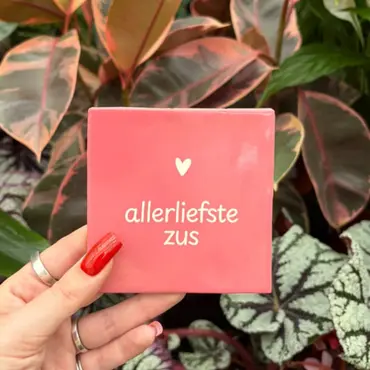 Tegeltje - Allerliefste Zus