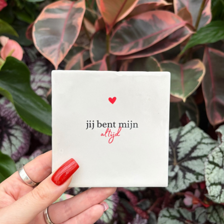 Tegeltje - Jij bent mijn altijd