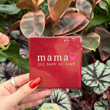 Tegeltje - Mama jij bent zo lief