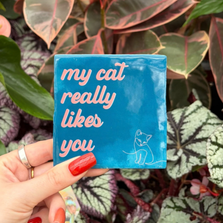 Tegeltje - My cat