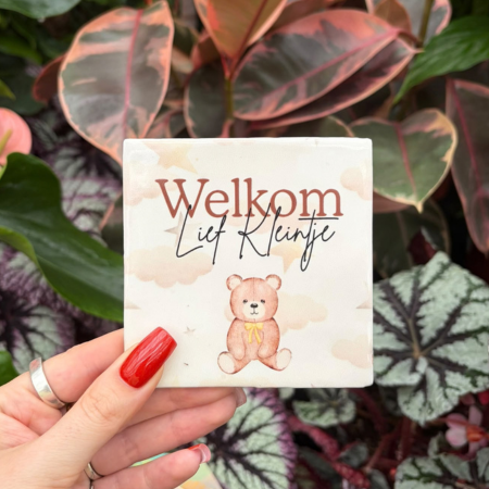 Tegeltje - Welkom lief kleintje