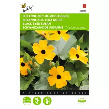 Thunbergia, Suzanne-met-de-mooie-ogen - afbeelding 1