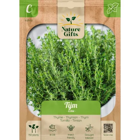 Tijm echte vulgaris 150st - afbeelding 1