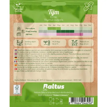 Tijm echte vulgaris 150st - afbeelding 2