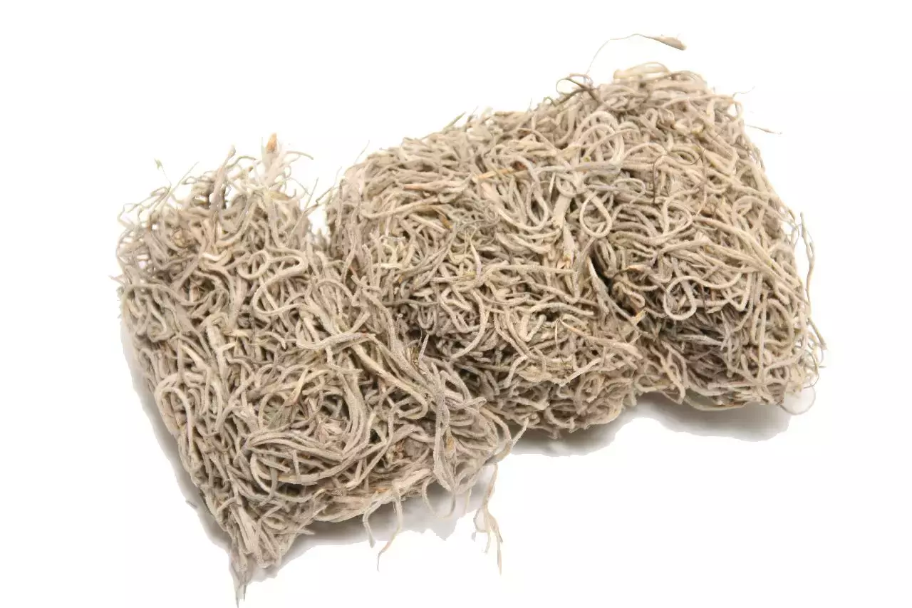 Tillandsia mos 80g naturel