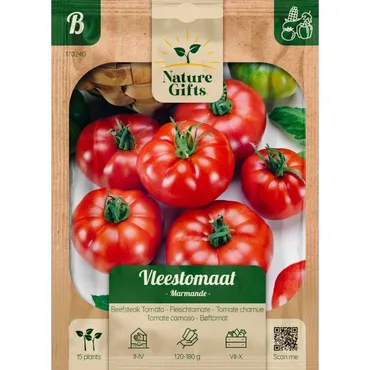 Tomaat marmande 15st - afbeelding 3