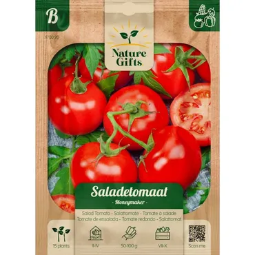 Tomaat moneymaker 15st - afbeelding 1