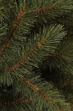 Toronto kerstboom groen - h155 x d102cm