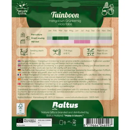 Tuinboon hangdown groenkernig per 4m - afbeelding 2