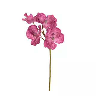 Vanda orchideebundel x5 l62cm lvndl