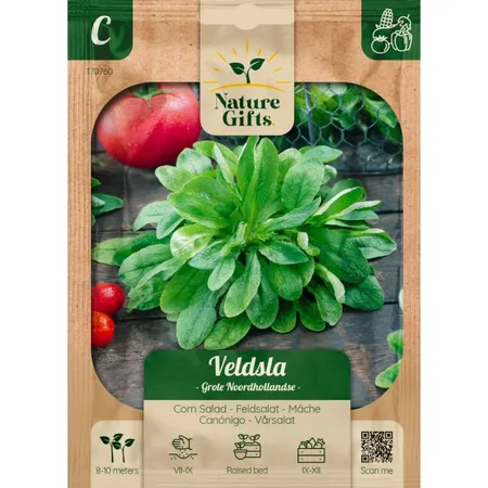 Veldsla hollandse breedblad per 9m - afbeelding 1