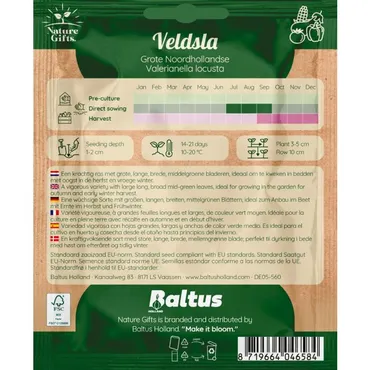 Veldsla hollandse breedblad per 9m - afbeelding 2